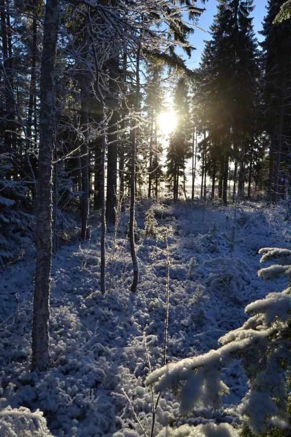 ホテル Kujanpaeae | Paajoen Vuokramoekit Himos エクステリア 写真